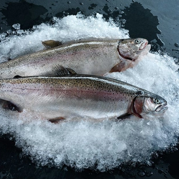 Свежемороженая рыба